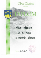 diplom-2009