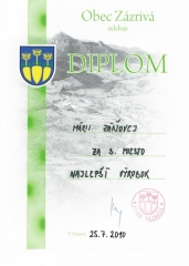 diplom-2010